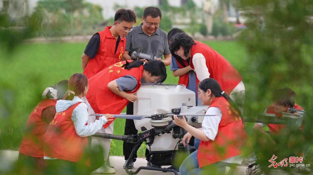 扎根乡土 深耕服务 新时代大学生的盛夏答卷